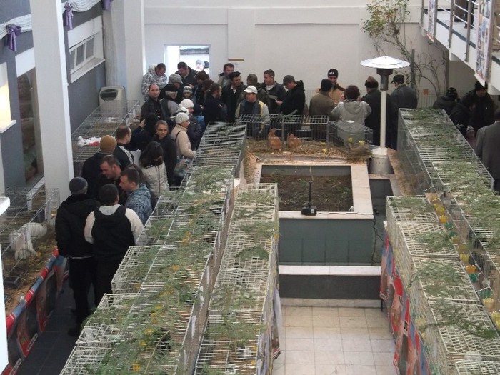 o singura intrare pentru multi