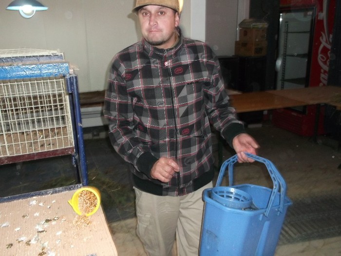 EU CU GALEATA........