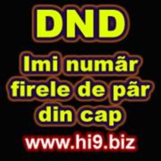 dnd imi numar firele de par din cap