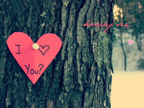 i love you - love