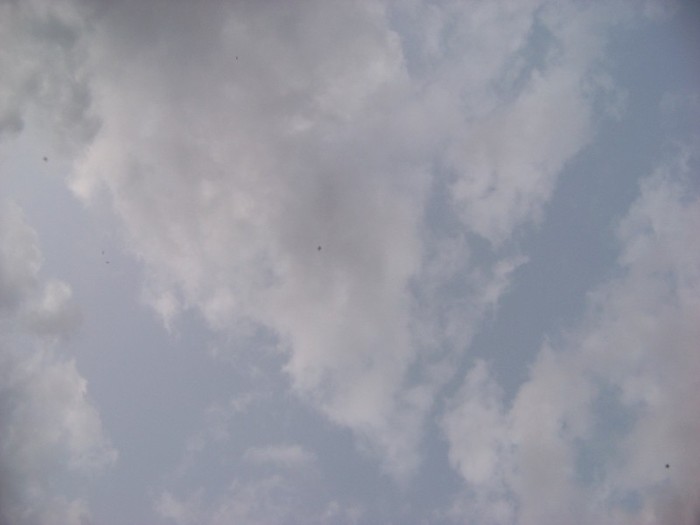 100_0254 - Splendorile cerului