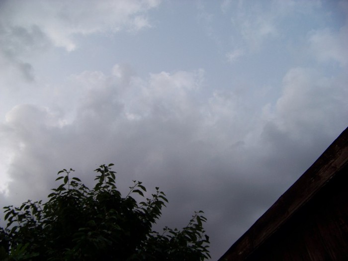 100_0255 - Splendorile cerului