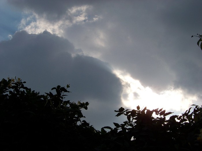 100_0954 - Splendorile cerului