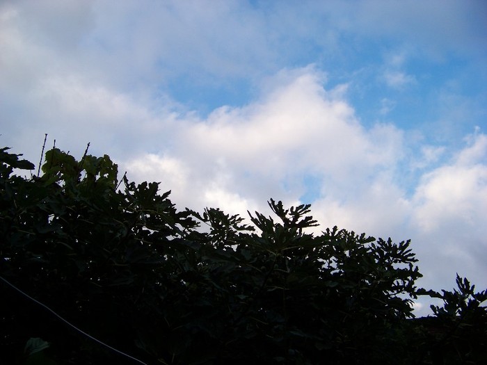 100_1240 - Splendorile cerului