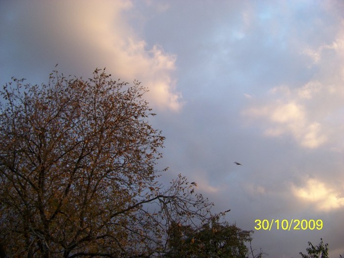 100_3615 - Splendorile cerului