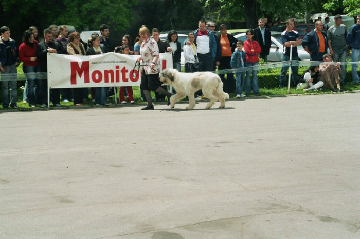 targovste 2005