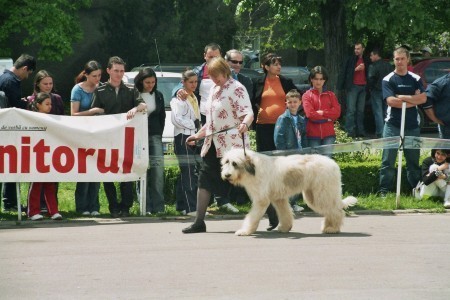 Targoviste 2005 ge1 - Concurs targoviste 2005