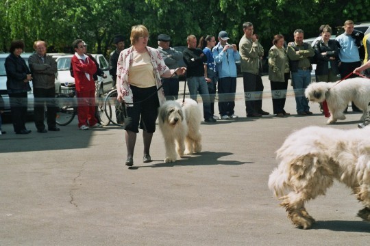 targoviste 2005 ge9 - Concurs targoviste 2005