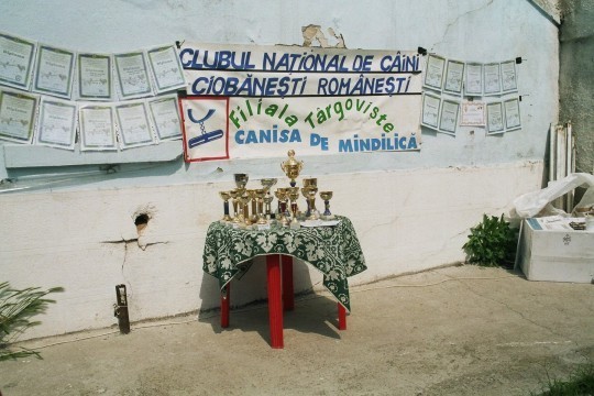 targoviste 2005 ge 11 - Concurs targoviste 2005