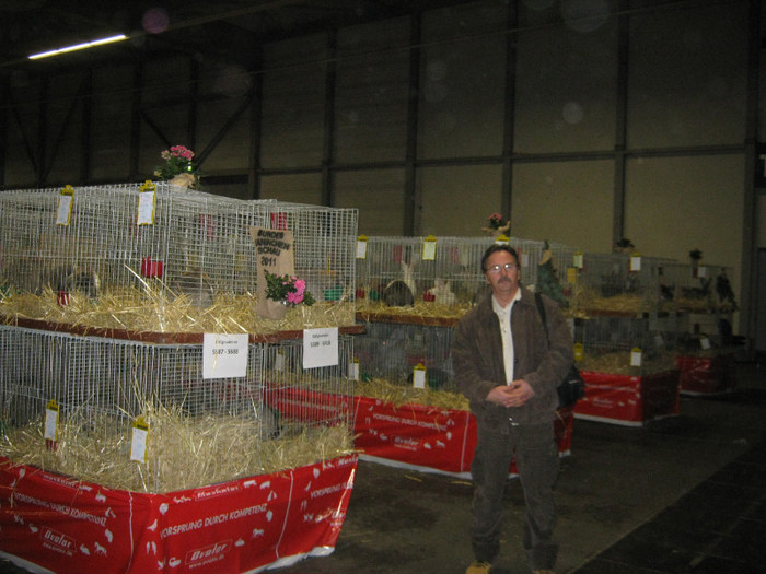 erfurt -poze cu iepuri urmeaza - expo Erfurt dec-10-11 -2011