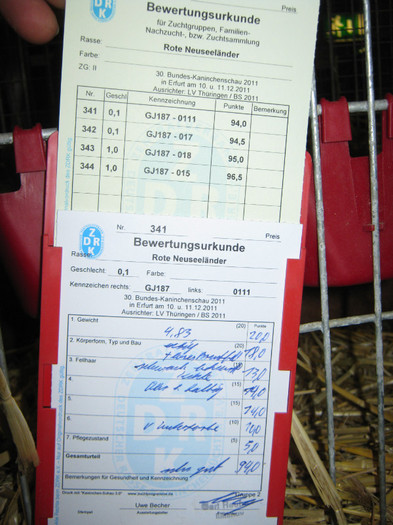 erfurt 072