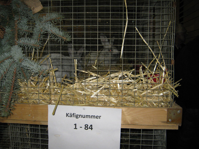 erfurt numaratoarea 1la25555 buc