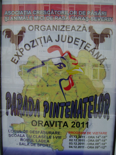 87 - Expozitia-Parada Pintenatelor Oravita dec 2011