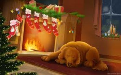 images (61) - Christmas dog