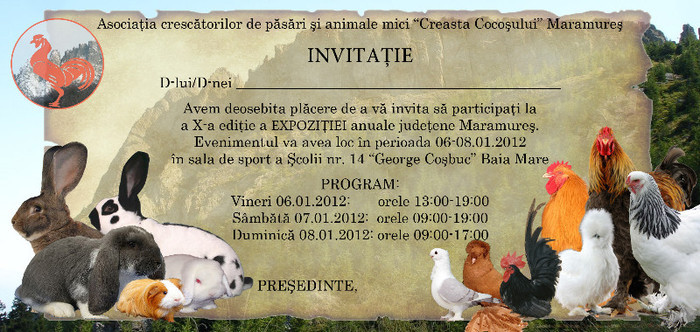 Invitatie!!! - Expo Maramures 2012