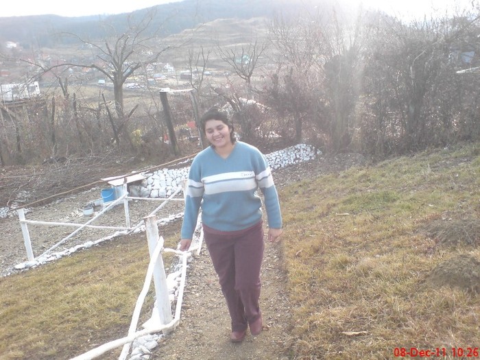 DSC02665 - 10 -dec 2011