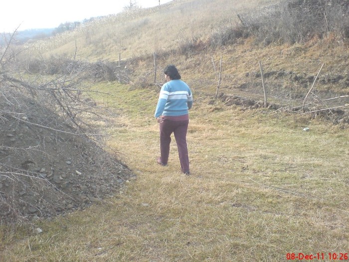 DSC02666 - 10 -dec 2011