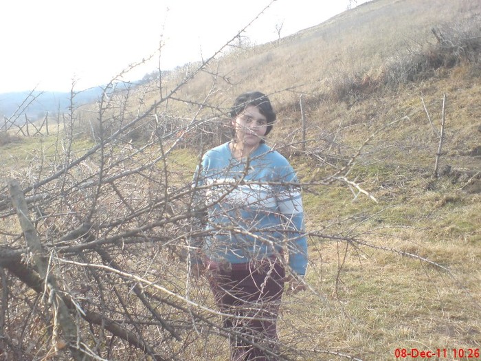 DSC02667 - 10 -dec 2011