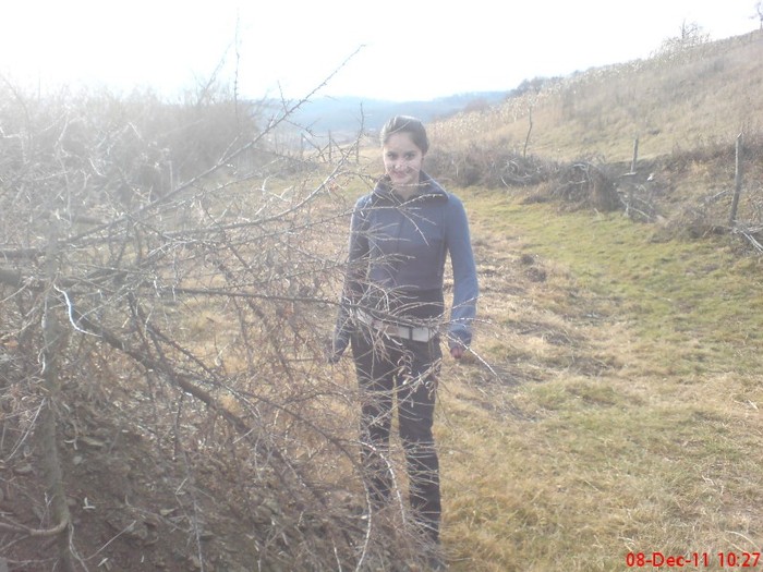 DSC02668 - 10 -dec 2011