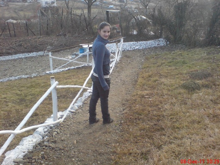 DSC02673 - 10 -dec 2011