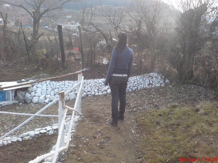 DSC02674 - 10 -dec 2011
