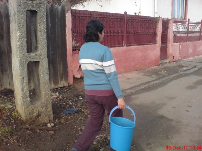 DSC02686 - 10 -dec 2011