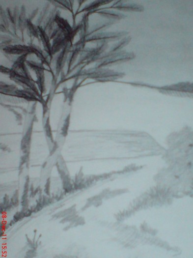 DSC02734 - 10 -dec 2011