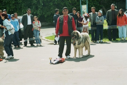 Targoviste 2005 ge 24 - Concurs targoviste 2005