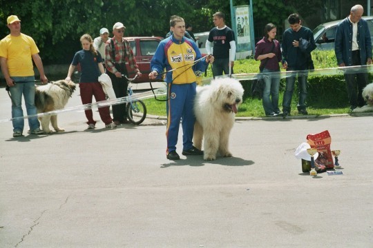 Vifor de Nitech BIS - Concurs targoviste 2005