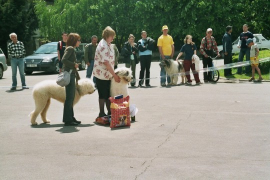 Targoviste 2005 ge 19 - Concurs targoviste 2005