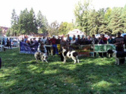 ilisesti 2011 28 - Ilisesti Suceava 2011