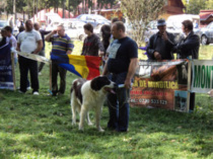 ilisesti 2011 50 - Ilisesti Suceava 2011