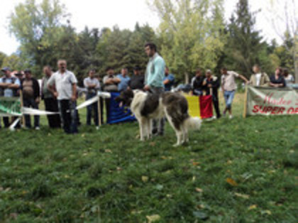 ilisesti 2011 59 - Ilisesti Suceava 2011