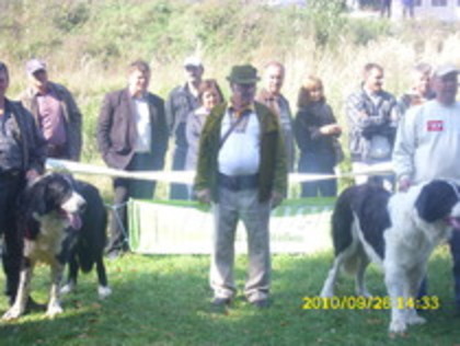 Ciobanesc CARPATIN -ilisesti 2010 26