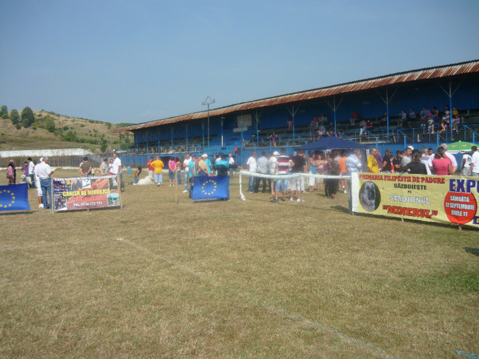 filipesti 1-24