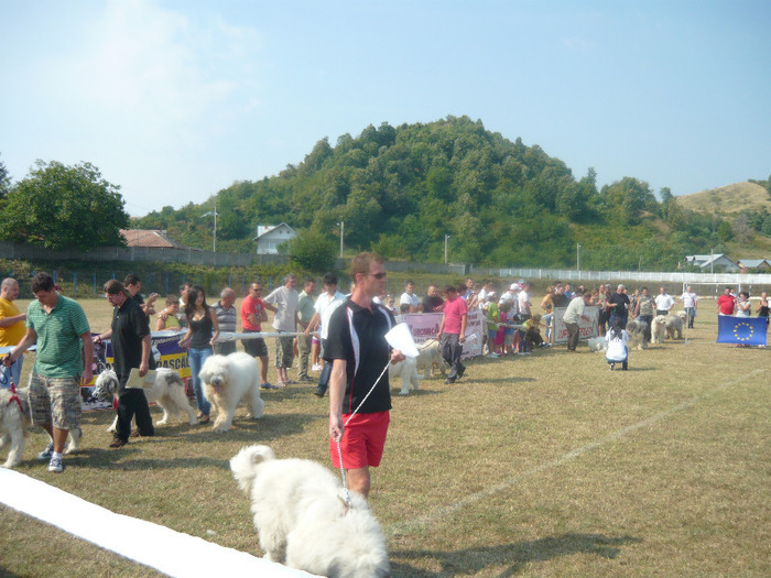 mioritic - filipesti 1-44 - Filipestii de Padure 2011