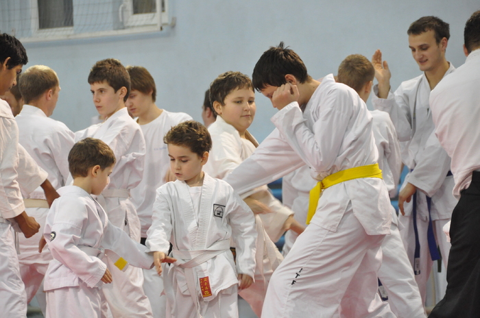 micul meu karatist de la dojo - Bebe mei
