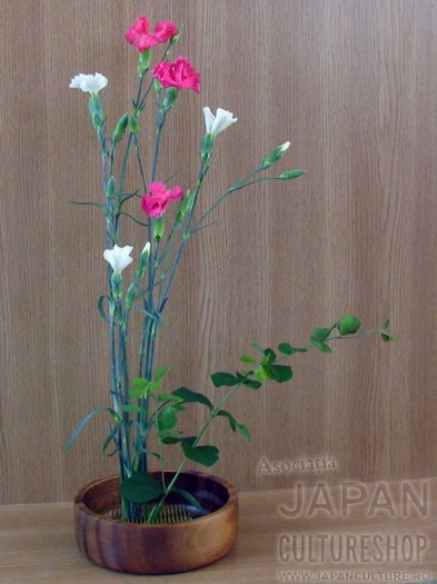 c03p01 - poze ikebana