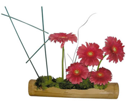 ikebana mare - poze ikebana