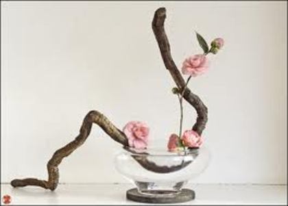 images (1) - poze ikebana