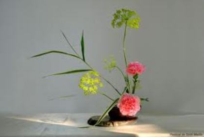 images (3) - poze ikebana