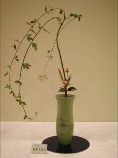 picture1514 - poze ikebana