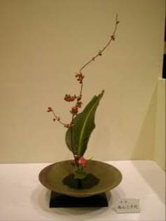 picture1613 - poze ikebana