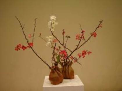 picture1813 - poze ikebana