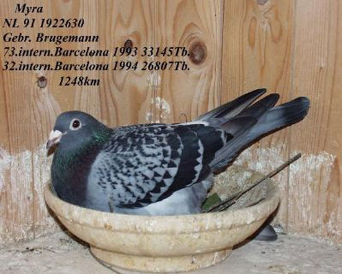 22640818_DSJIXLWTW