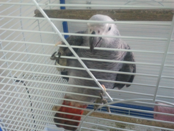 Stiu si sa ma catar.