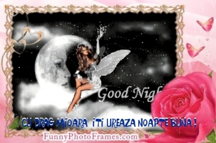 f282fd7b61c472b73c82a48e6c40a8bb