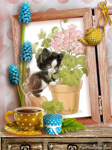 funphotobox132349s2urgvfu