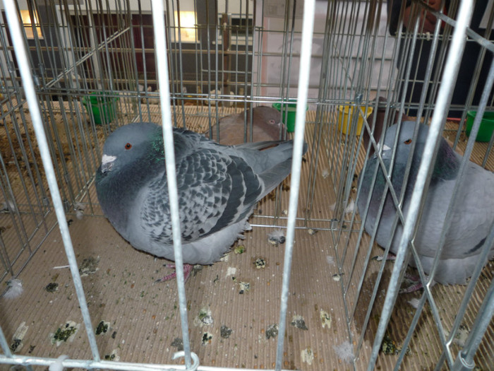 P1010892