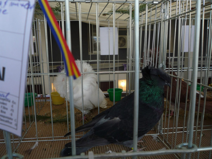 P1010901